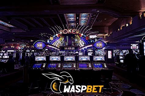 Waspbet 